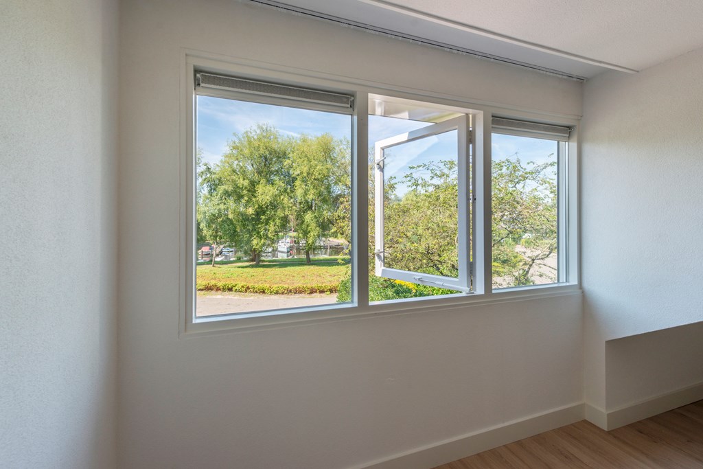 Property 29