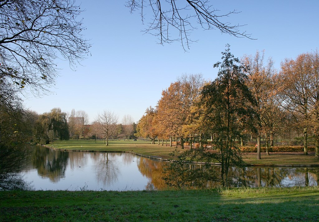 Property 32