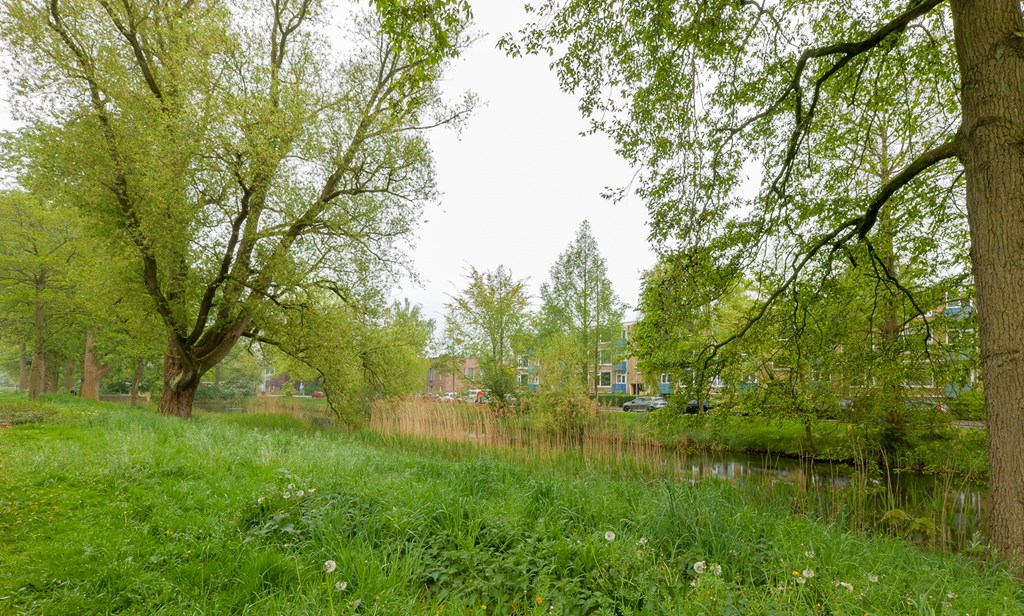 Property 24