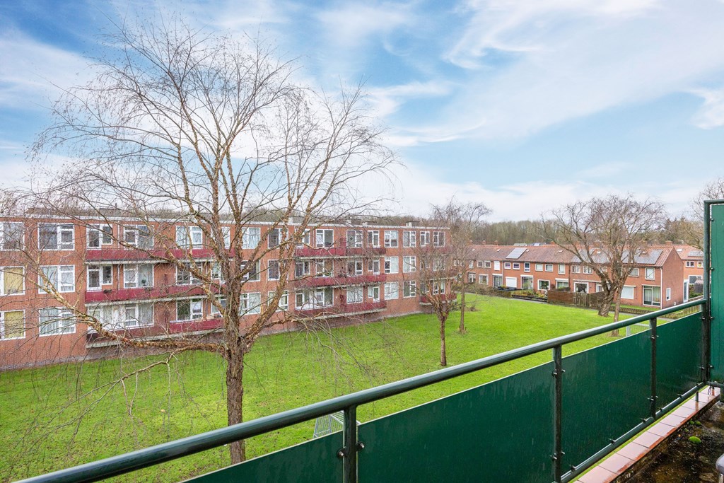 Property 20