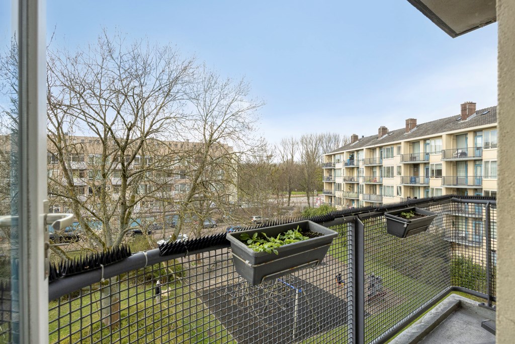 Property 23