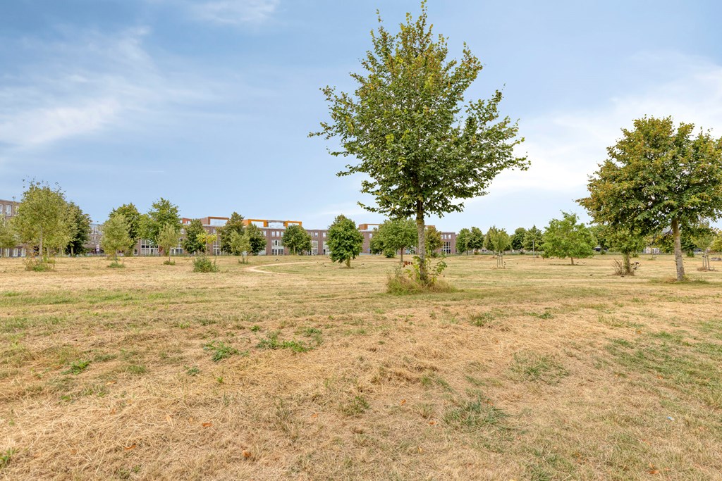 Property 45