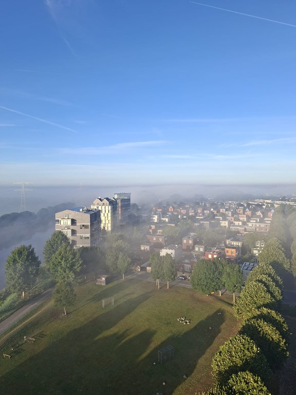 Property 26