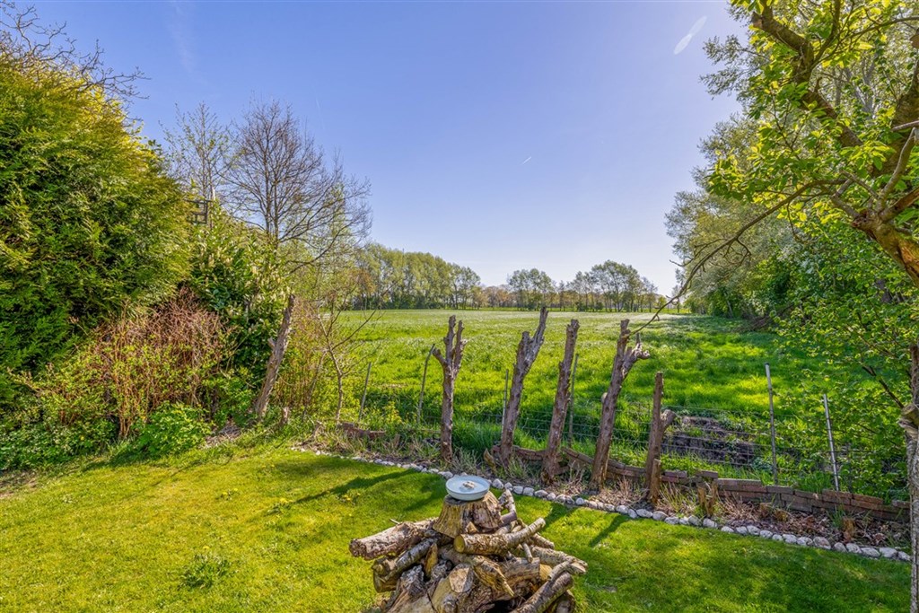 Property 38