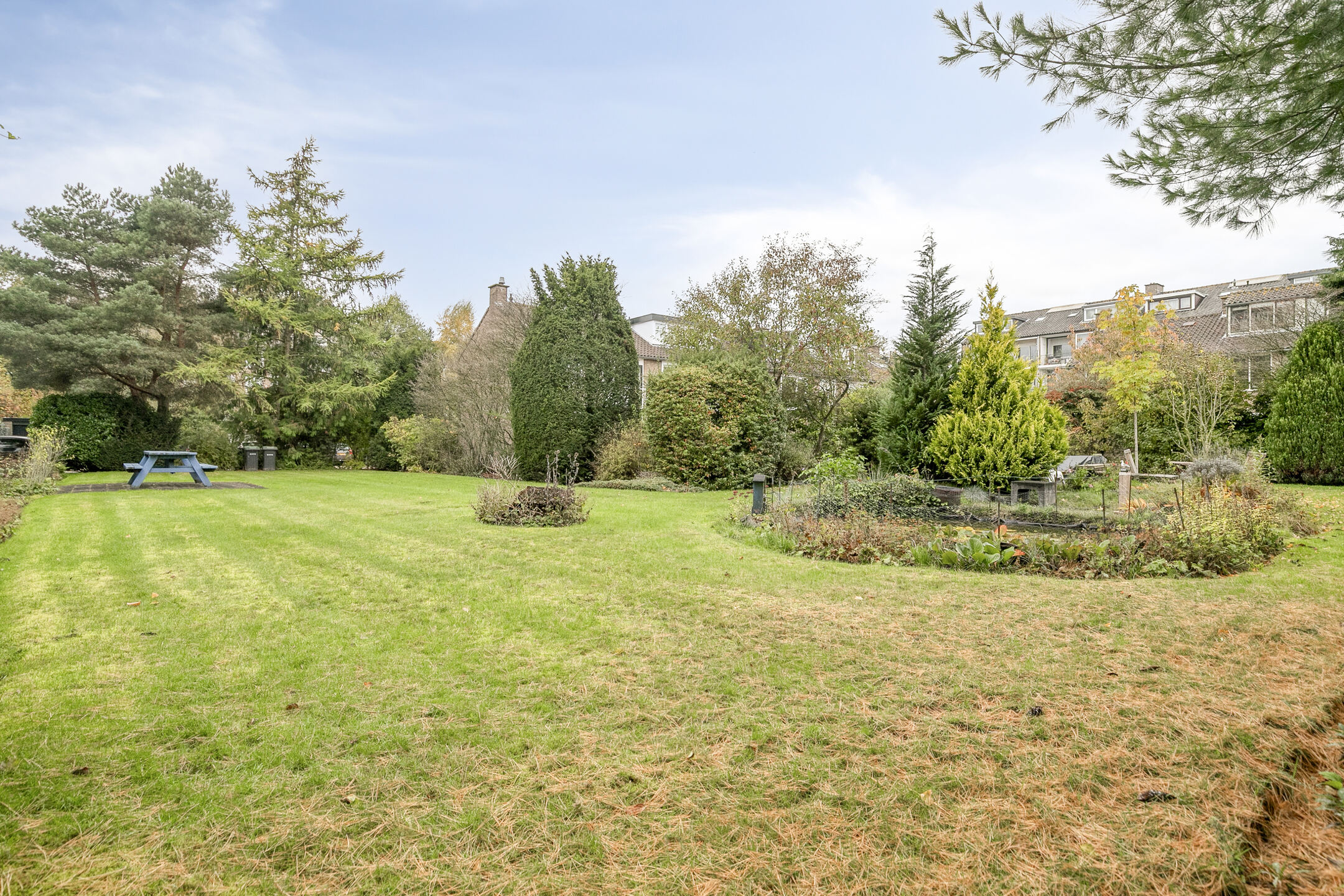 Property 29