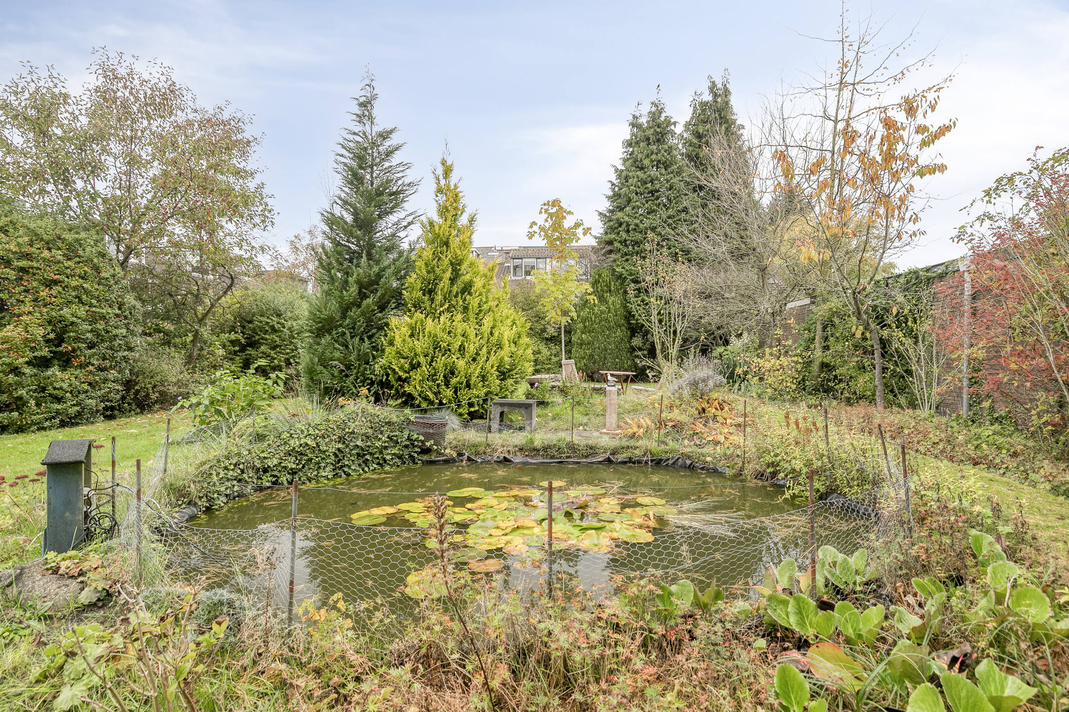 Property 33