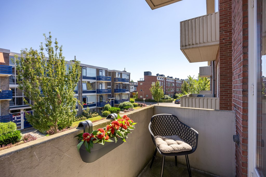 Property 24