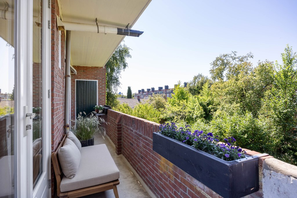 Property 33