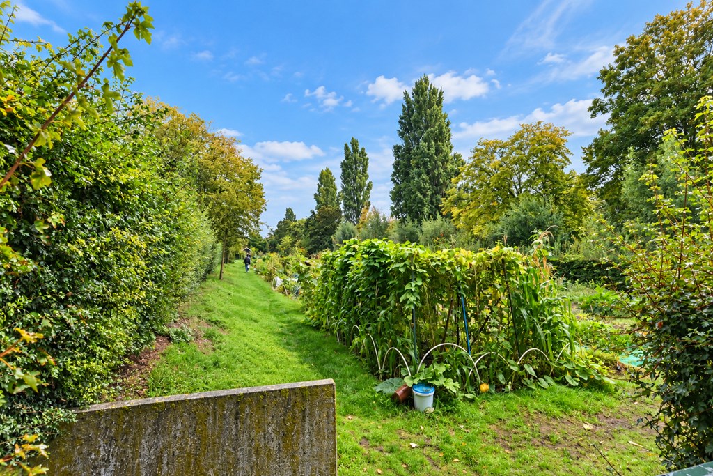 Property 36
