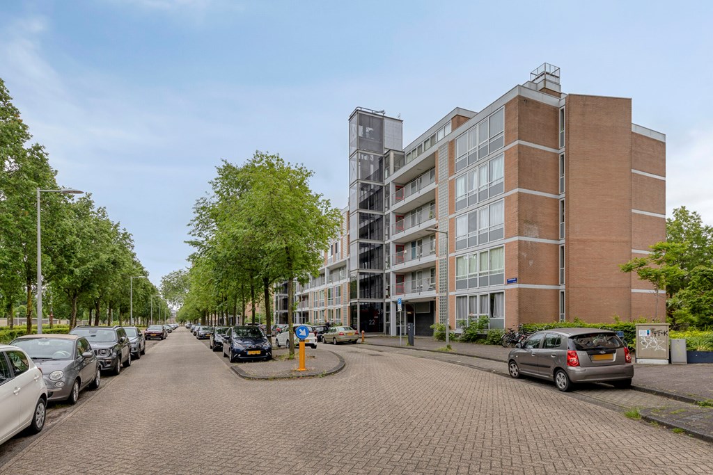 Property 31