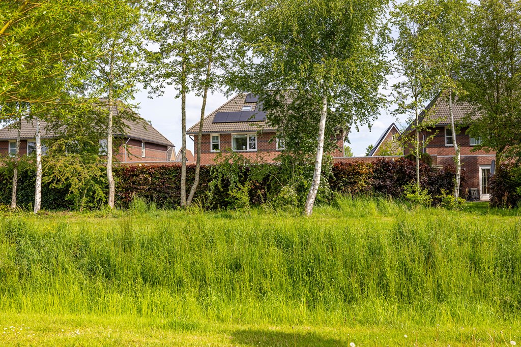Property 52