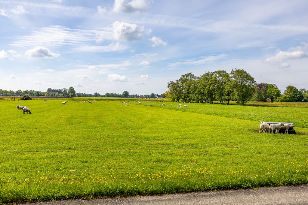 Property 53