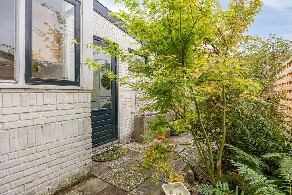 Property 19