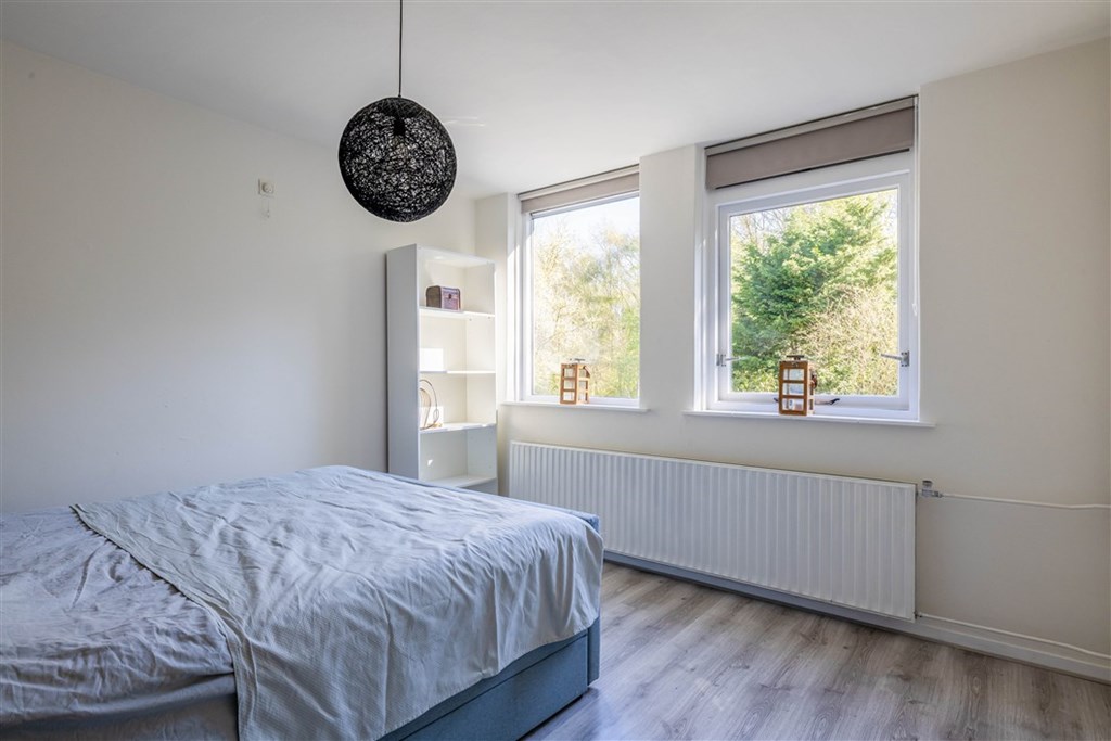 Property 41