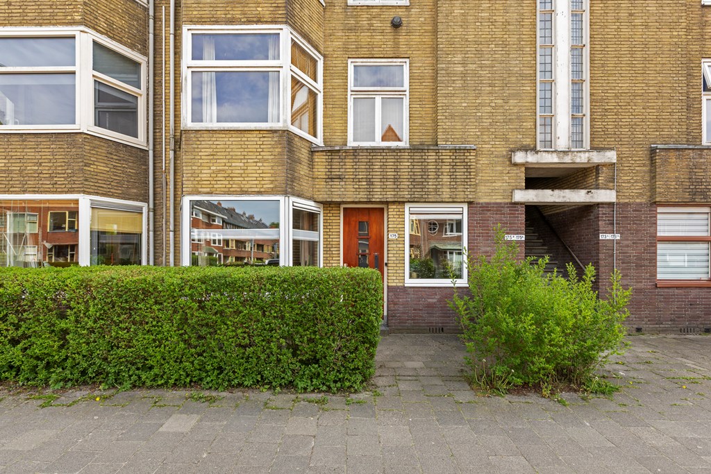 Property 38