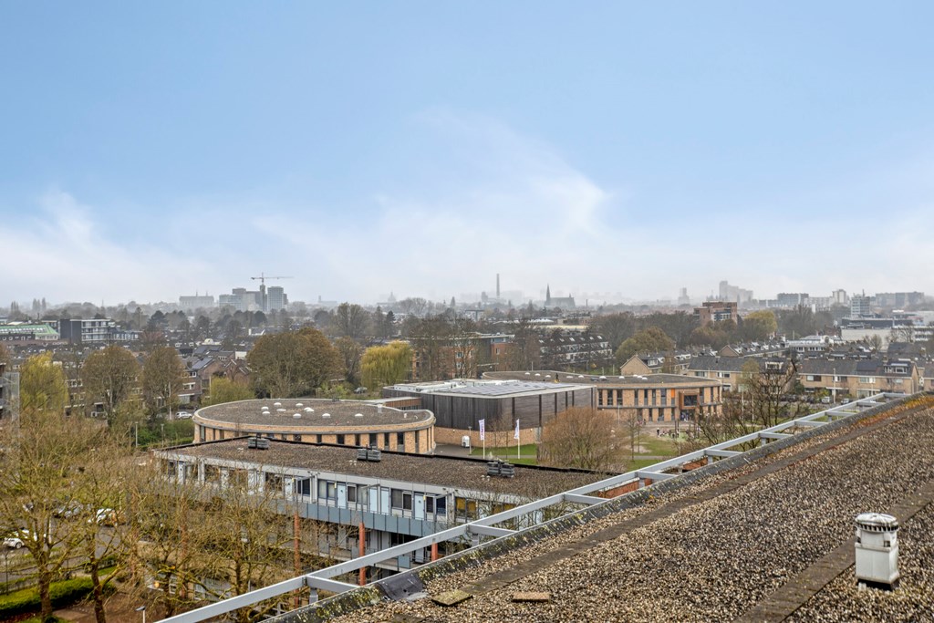 Property 31