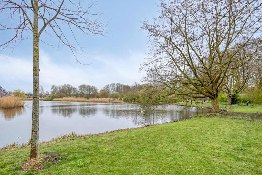 Property 54