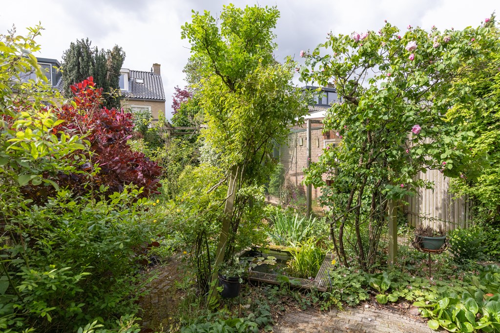 Property 32