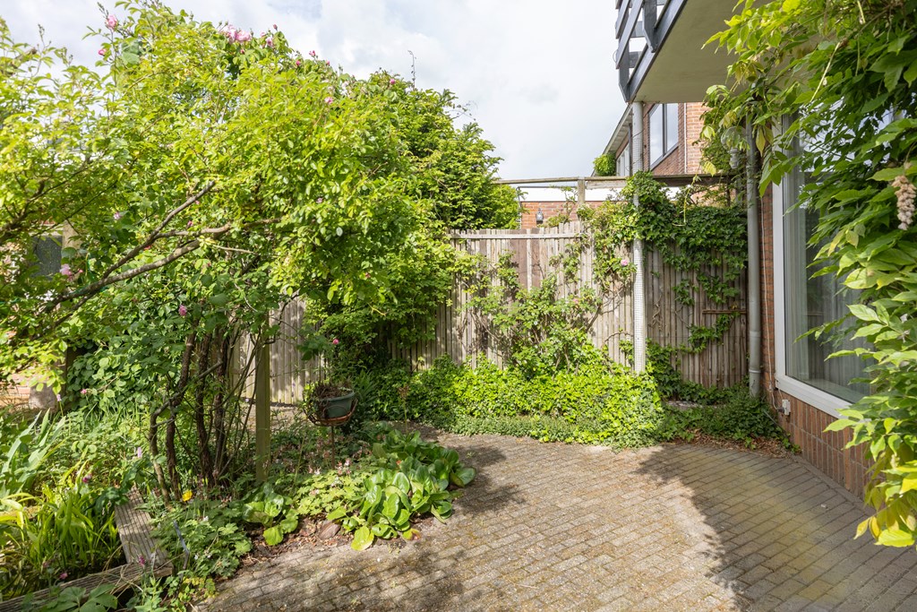 Property 37