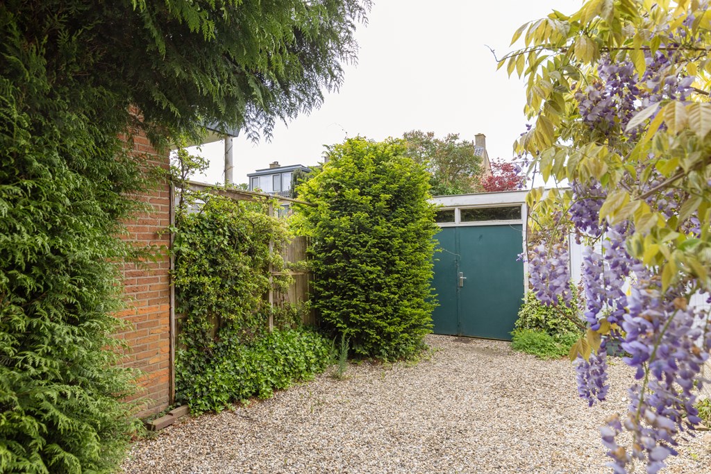 Property 38