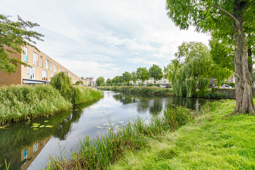 Property 19