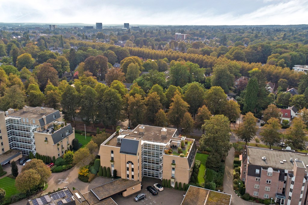 Property 53