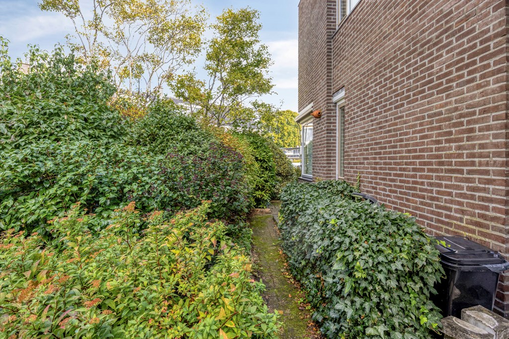 Property 29