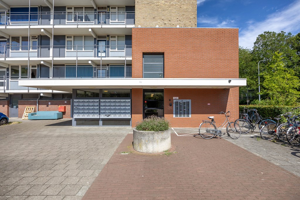 Property 29