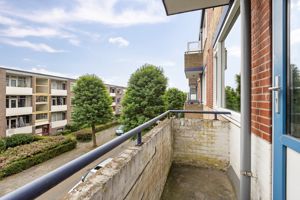 Property 24