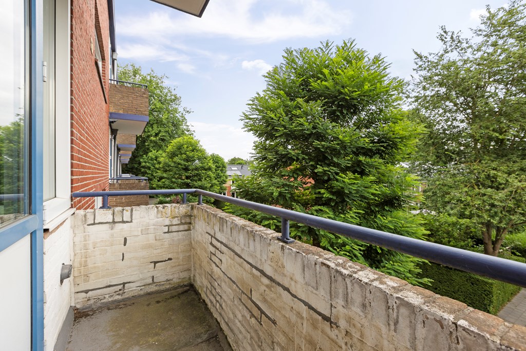 Property 25
