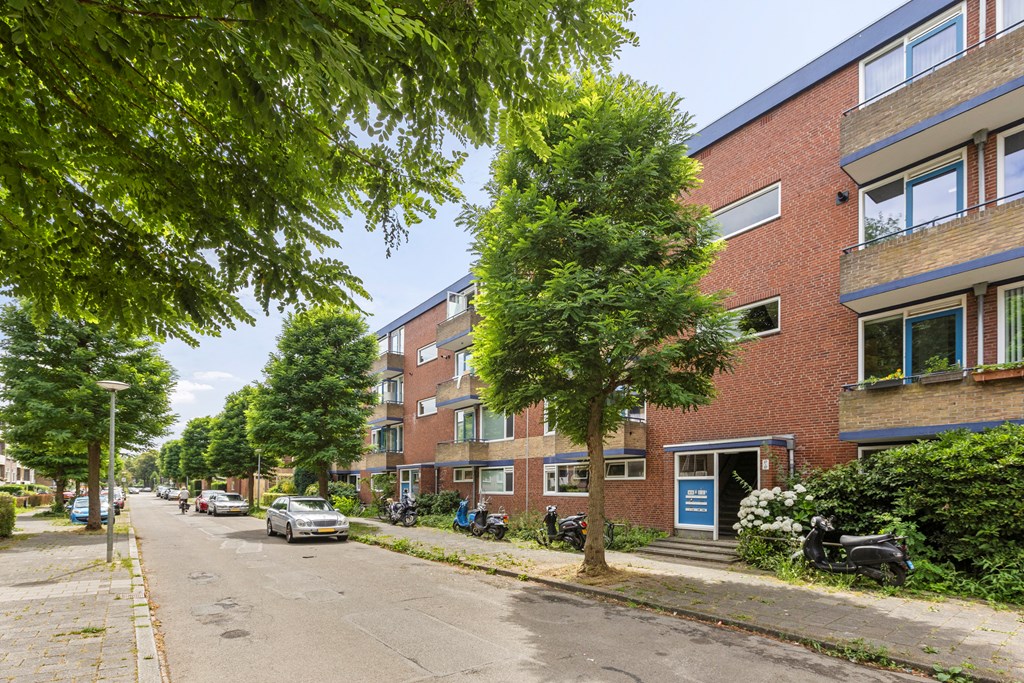 Property 31