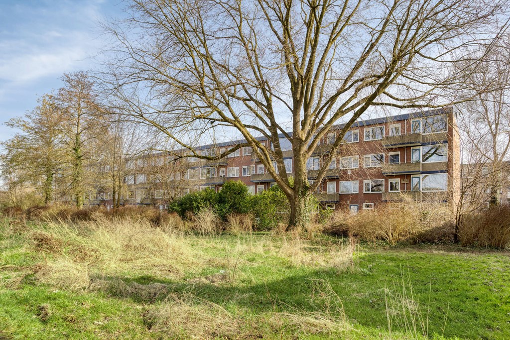 Property 37