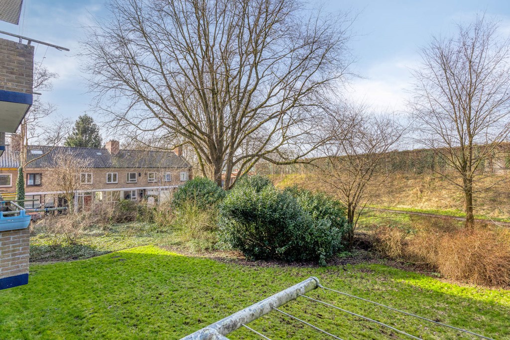 Property 39