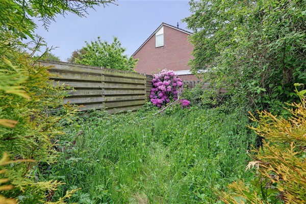 Property 36