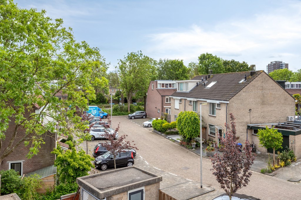 Property 38