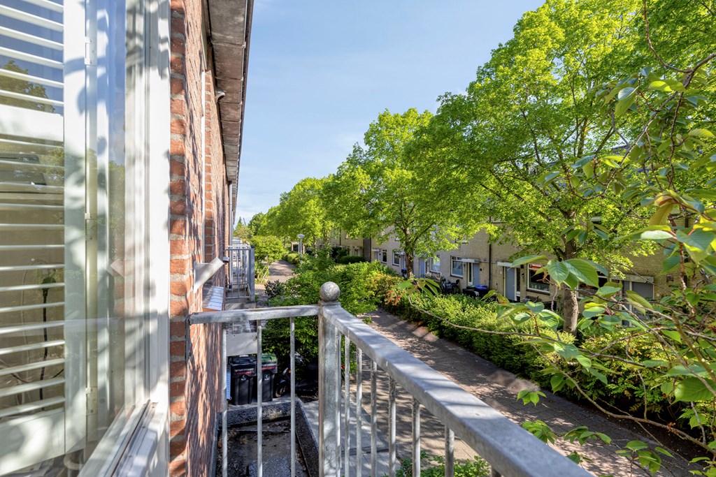 Property 29