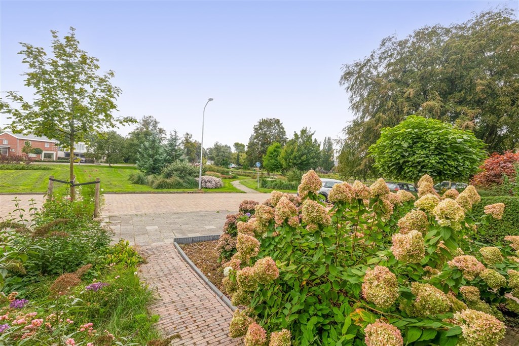 Property 38