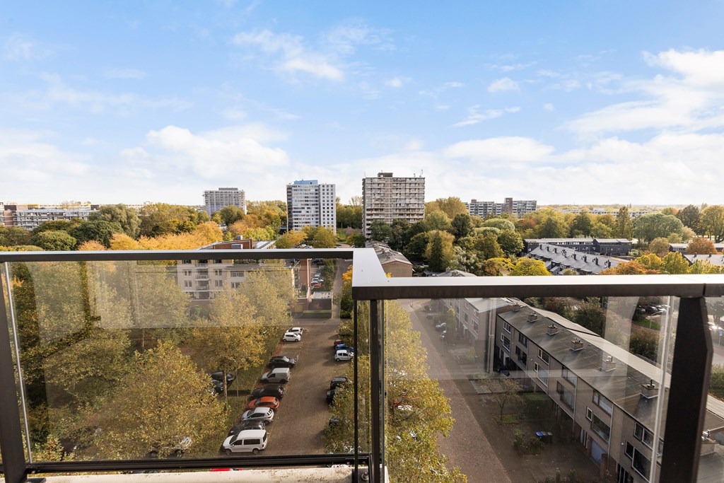 Property 20