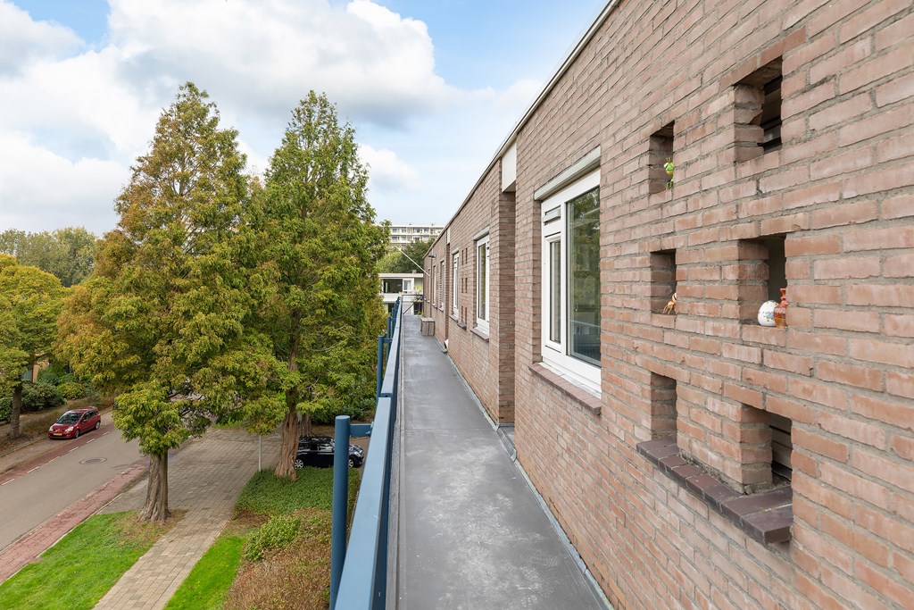 Property 17