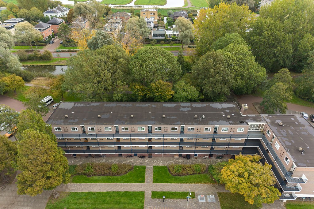 Property 19