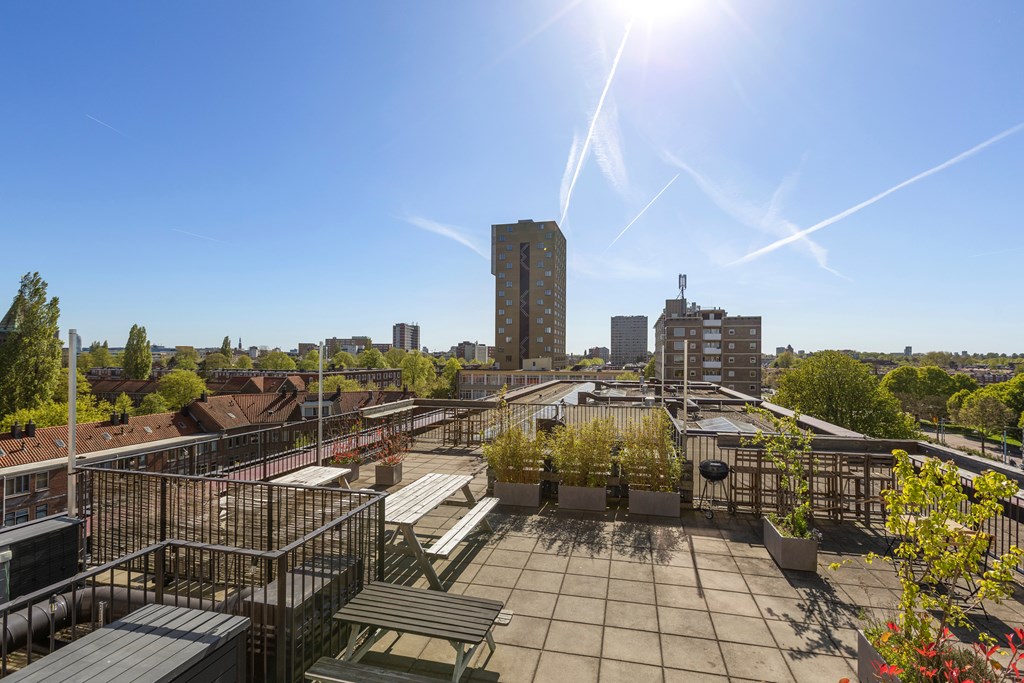 Property 36