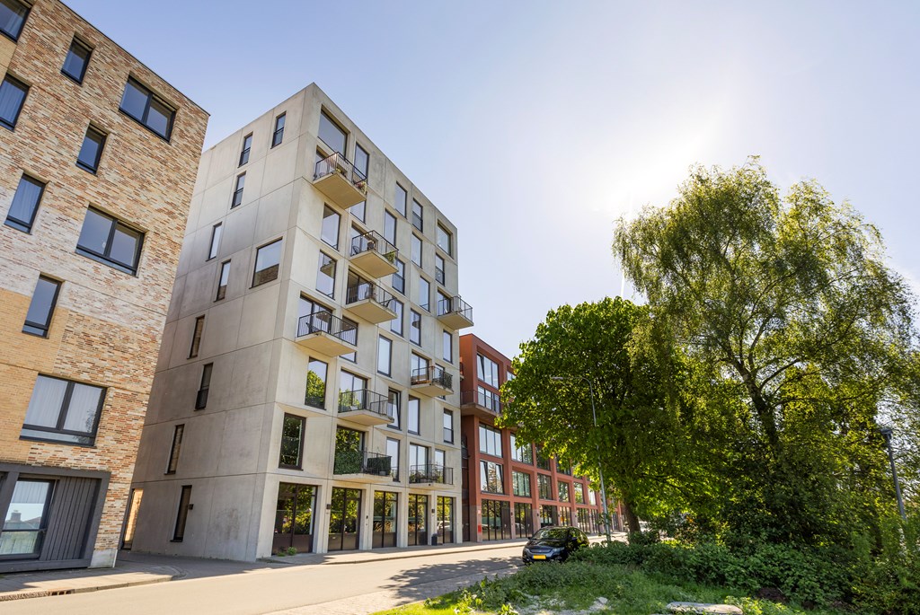 Property 39