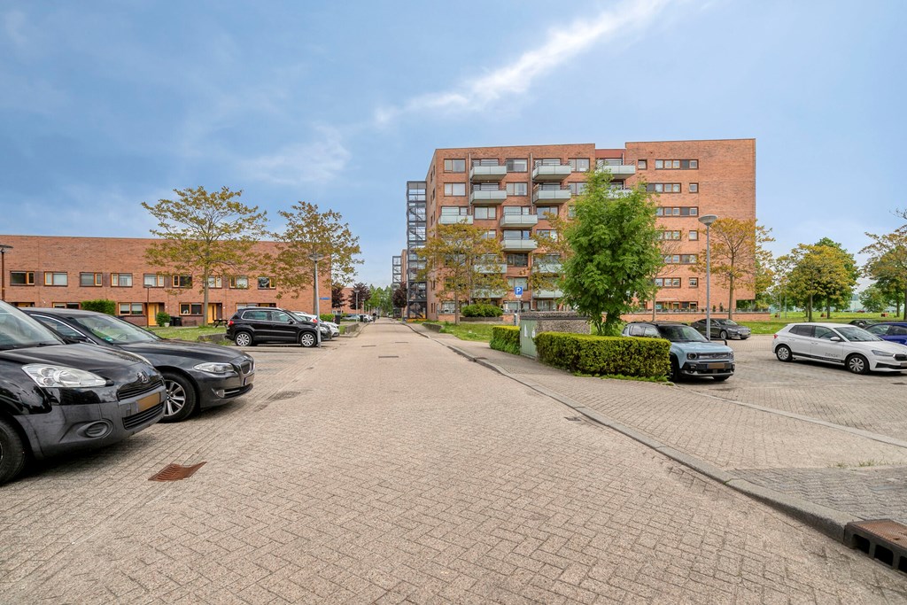 Property 31