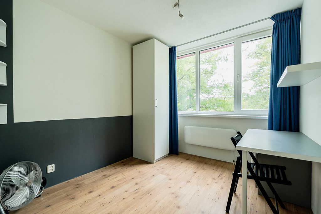 Property 31