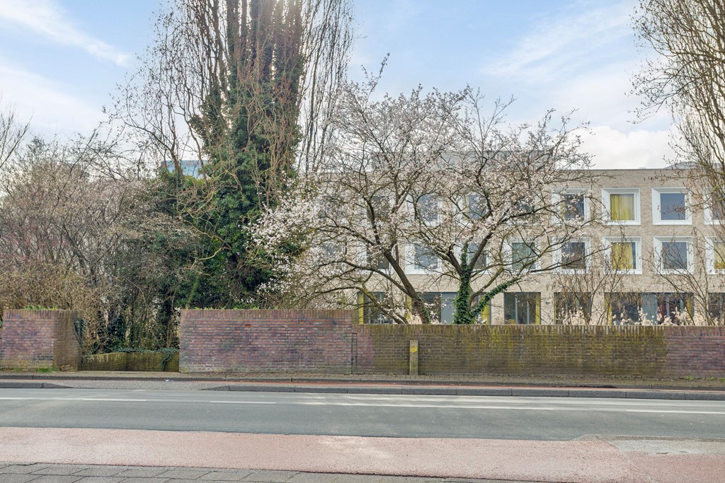 Property 38