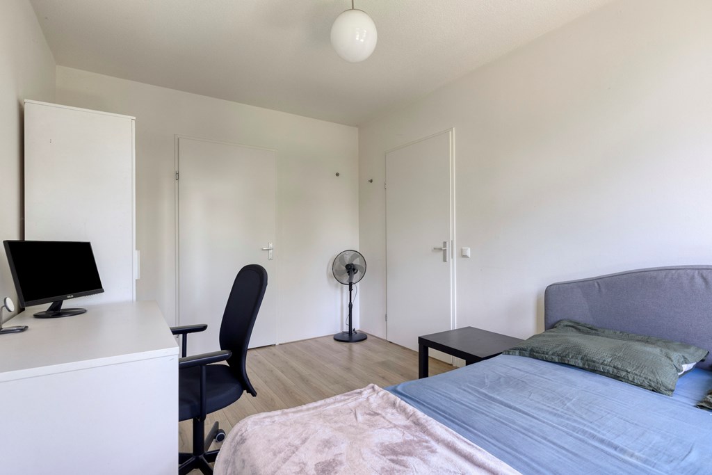 Property 19