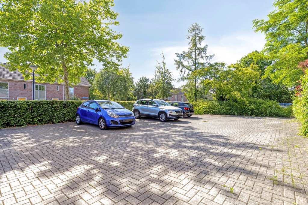 Property 25