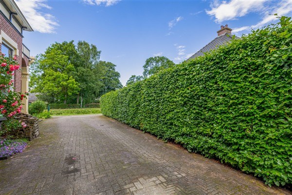 Property 42