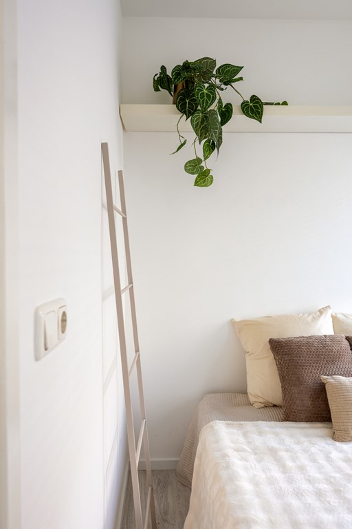 Property 24