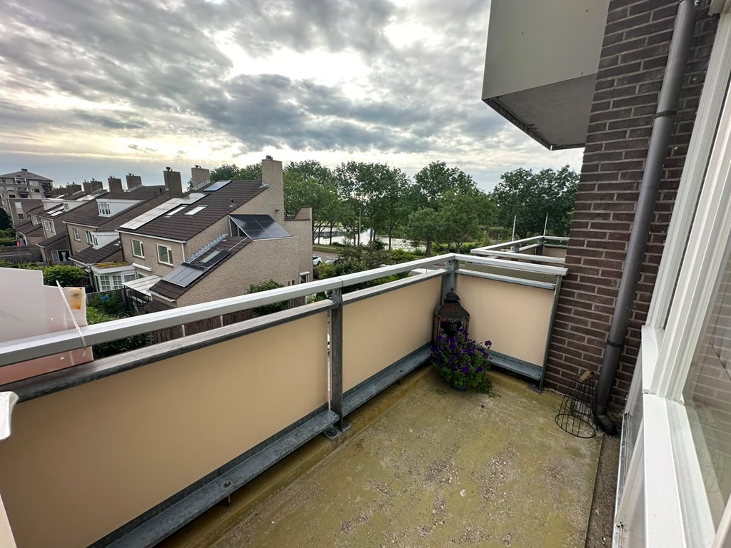 Property 17
